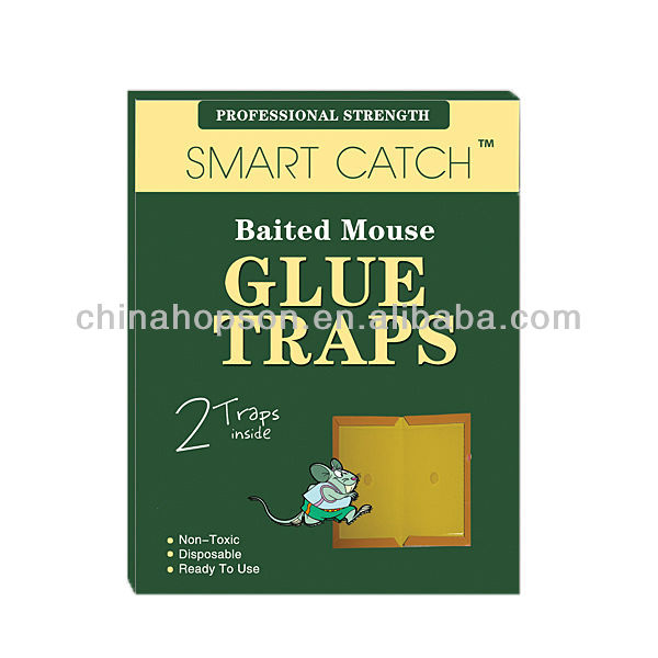 Mouse trap car essay