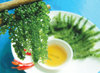 GREEN CAVIA SEAWEED - COMPETITIVE PRICE AND BEST QUALITY