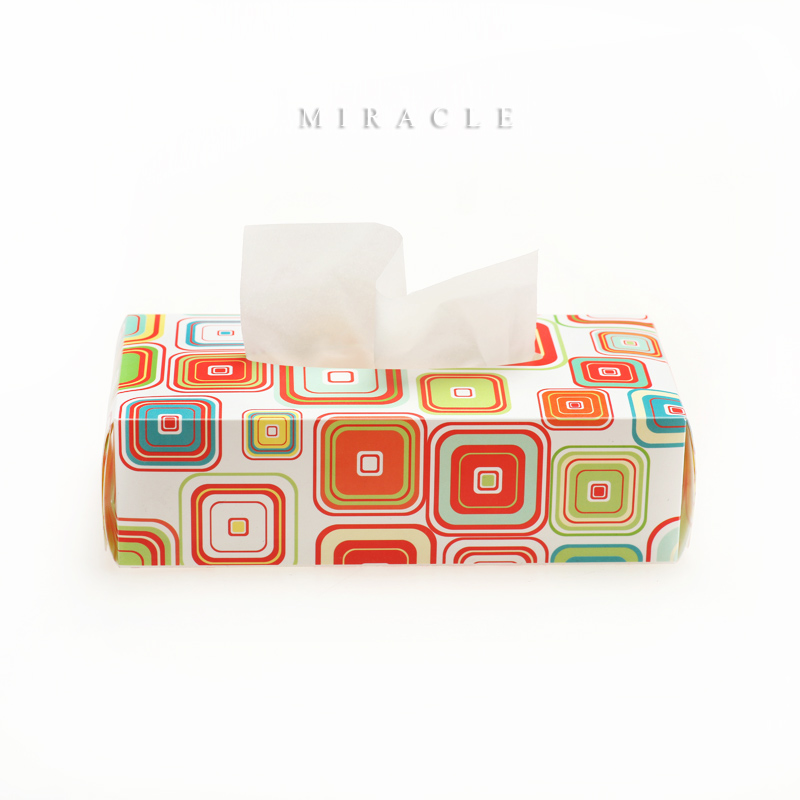 Food pe material plastic tissue box facial tissue boxes paper pumping car tissue cover derlook brief(China (Mainland))