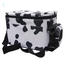 Car refrigerator dual white dairy cow 6l small refrigerator 12v car refrigerator(China (Mainland))