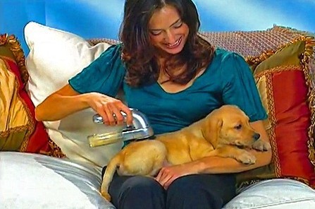 As Seen On TV Shed Vac Dogs & Cats Hair Brush Pocket Digital Brush As Seen On TV Shed Vac Dogs & Cats Hair Brush Pocket Digital Brush
