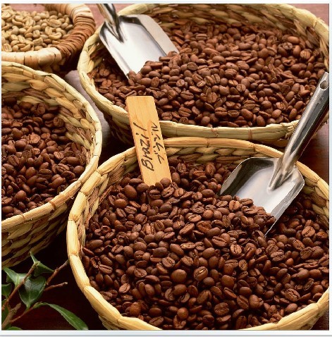 Coffee beans aa coffee beans 0 8 freshly baked 500g