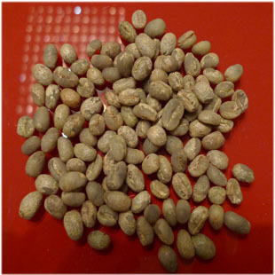 Coffea arabica beans round beans arabica coffee beans 100g