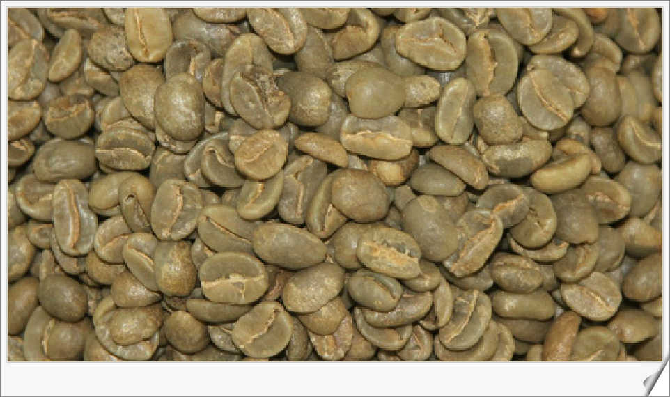 Coffee mdash coffee beans 250g
