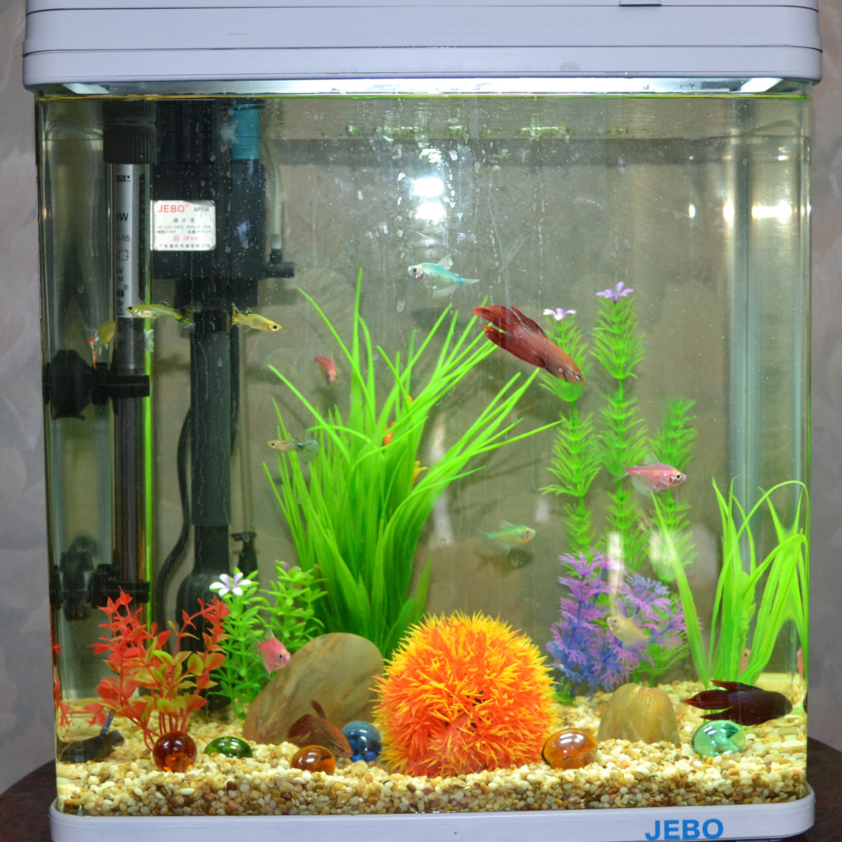 fish tank set