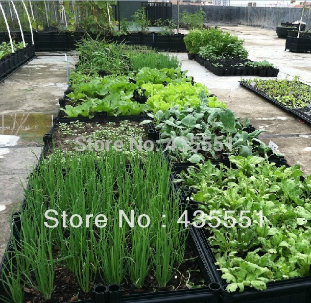 DIY Smart Plant Box Vegetable Garden Raised Bed-in Flower Pots 