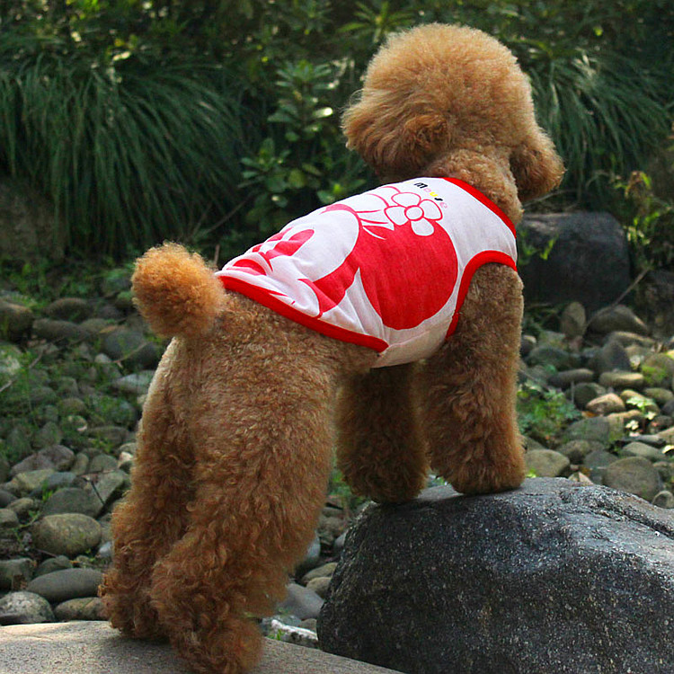 pet teddy t-shirt top dog clothing wear dog cat apparel tees vests pet teddy t-shirt top dog clothing wear dog cat apparel tees vests