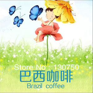 Free Shipping New 2013 454g High quality Original Brazilian Coffee Beans Baking charcoal Fresh roasted coffee