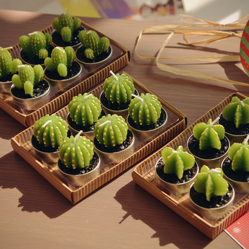 the way to make a easy hydroponic garden