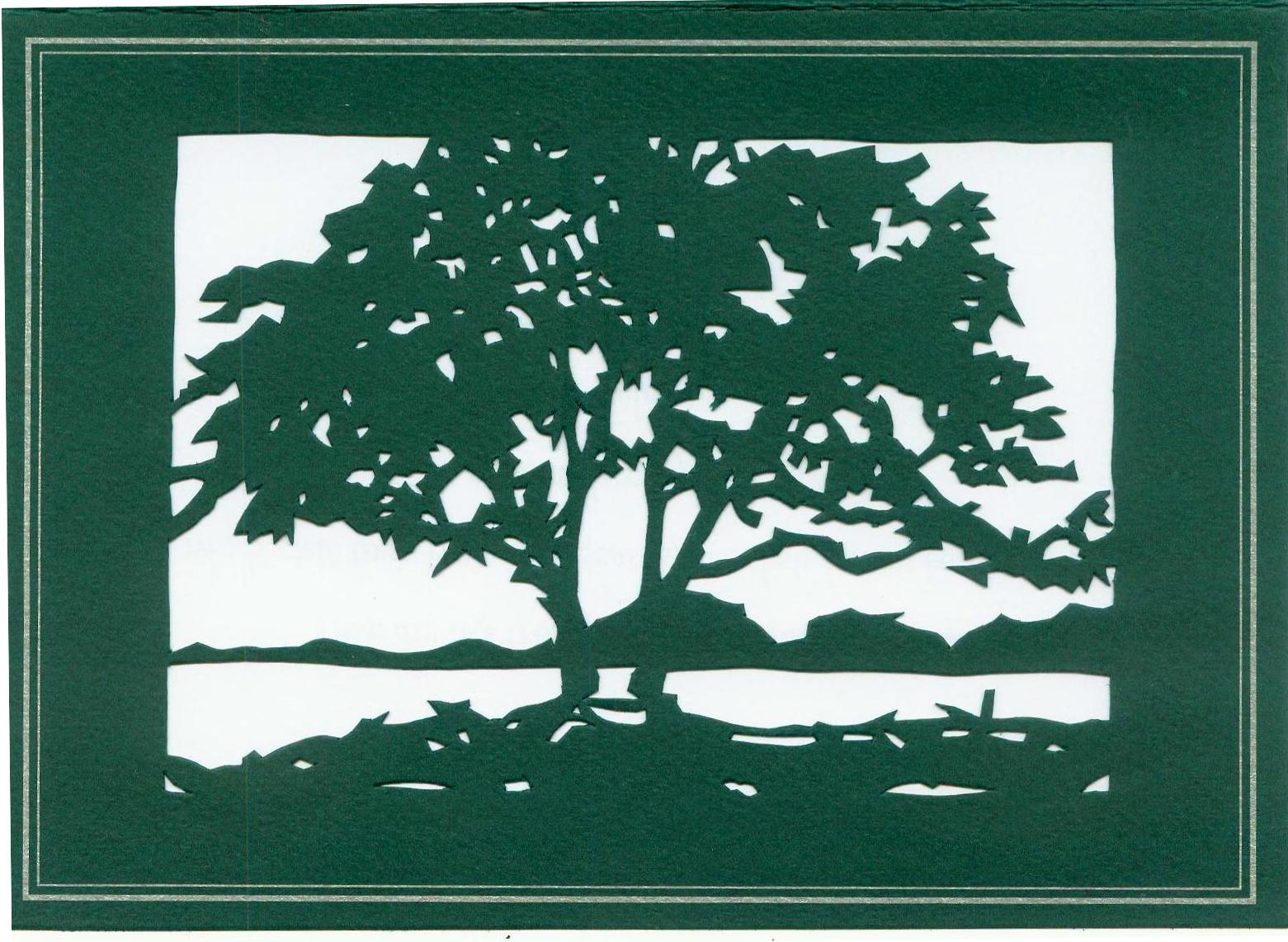 evergreen trees types price