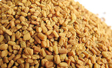 2014 new arrived 250g Common Fenugreek Seed Sex tea Semen trigonellae aphrodisiac organic orginal health care green food