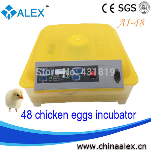 approved automatic egg mini incubator with high hatching rate for sale