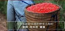 Free shipping goji berries, Chinese Zhongning, Ningxia, Herbal Tea wild and medlar, 500g / 2 bag
