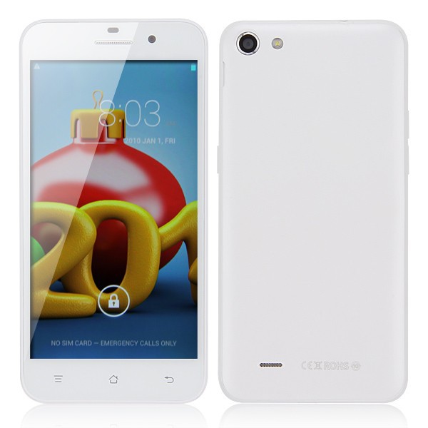Star A2800 5 Inch Cell Phones MTK6592 Octa Core Android 4 2 RAM 1GB ROM 8GB