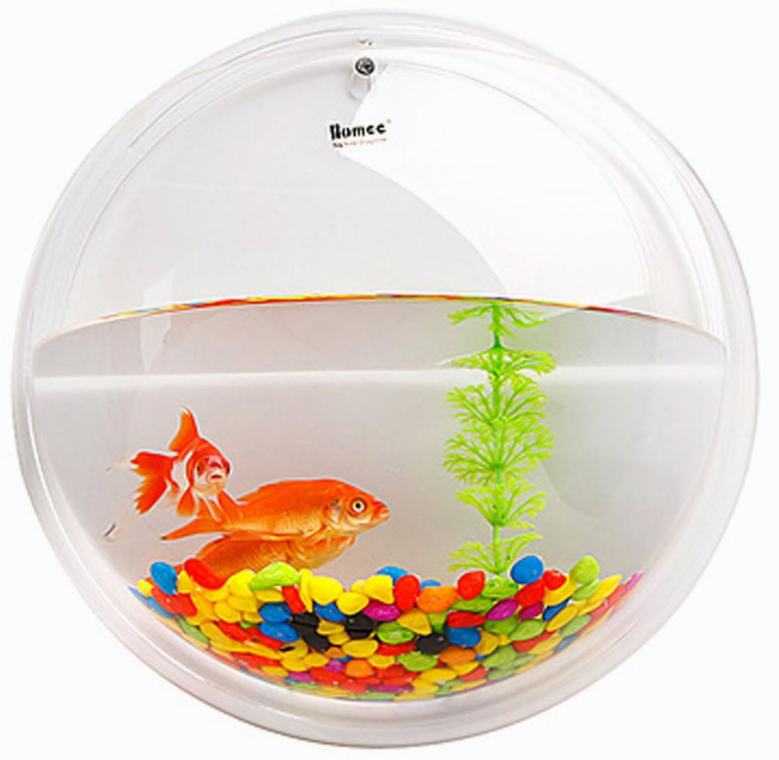 acrylic goldfish  wall mount  decoration fish bowl fishbowl