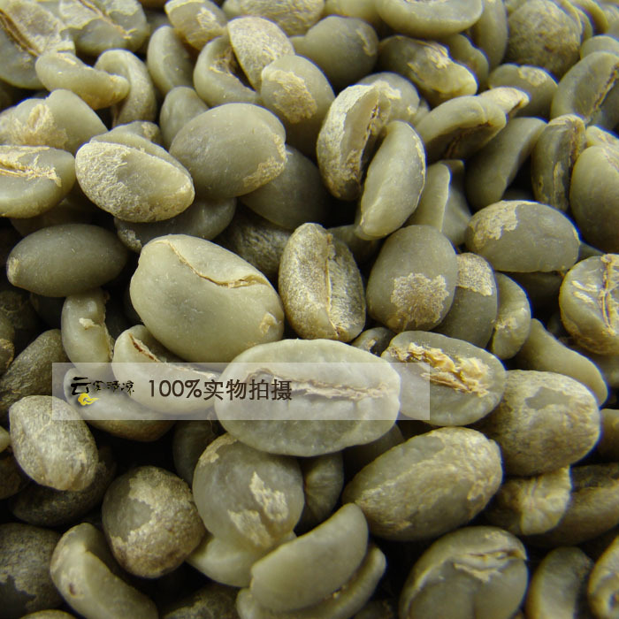 Free shipping old varieties Yunnan Coffea arabica 100 pure iron pickups coffee green 1 pound