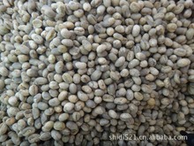 Free shipping Yunnan arabica coffee round beans altitude 1000M 1500M Green Coffee 454g wholesale