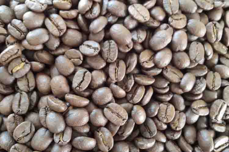 Free shipping Yunnan arabica coffee roasting altitude 1000 1400M AA AA grade 454g wholesale