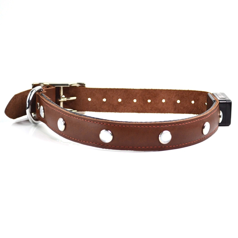 Leather Jewel flashing LED collar for dog(China (Mainland))