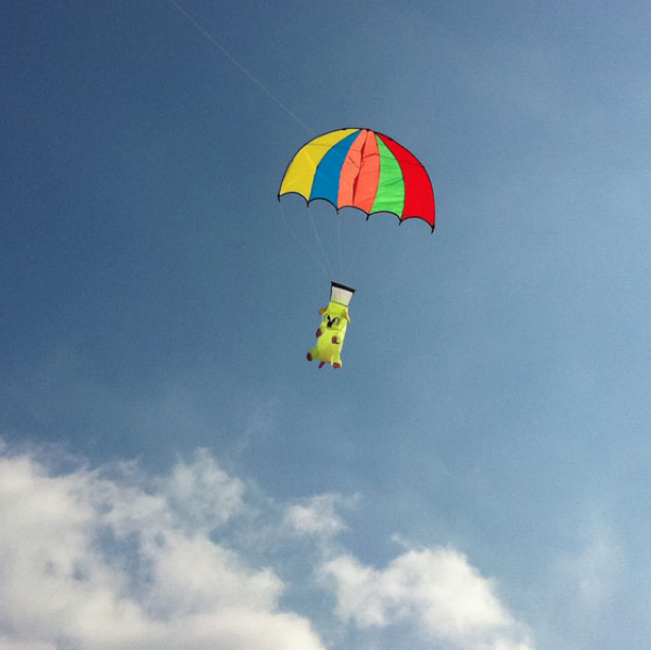 kite parachute price