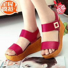 Sandals female platform shoes wedges platform bohemia young girl flat velcro white high-heeled