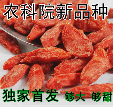 free shipping China Ningxia wolfberry king super 5A 150pcs 50g tribute medlar fruit Gou Qi 500g
