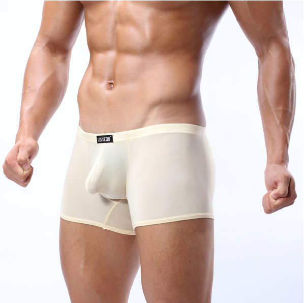1 Pcs COCKCON ice silk slim sexy male underwear transparent underwear low waist men Men s