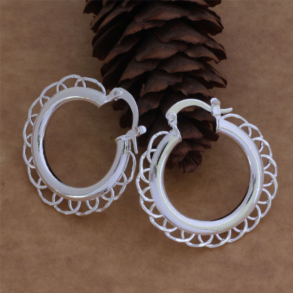 wholesale free shipping 925 silver Fashion jewelry errrings WE-110