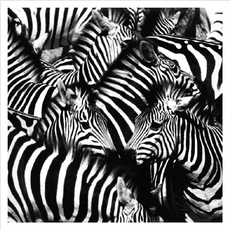 Aliexpress.com : Buy Canvas prints African animals art oil ... Aliexpress.com : Buy Canvas prints African animals art oil ...