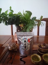 150g,Top grade Chinese Oolong tea , TieGuanYin tea new organic natural health care products gift Tie Guan Yin tea
