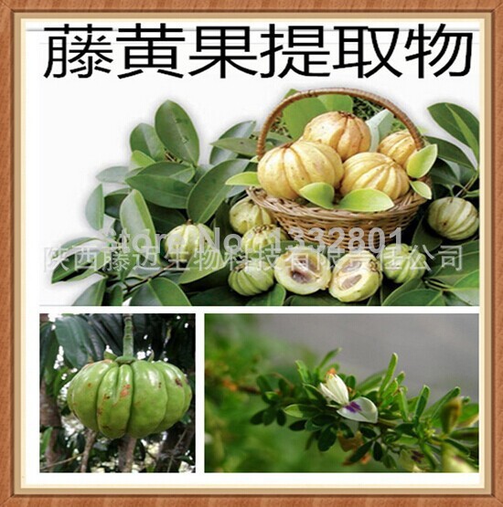 ORIGINAL GARCINIA Cambogia: Is This Right for You? Do Not Buy