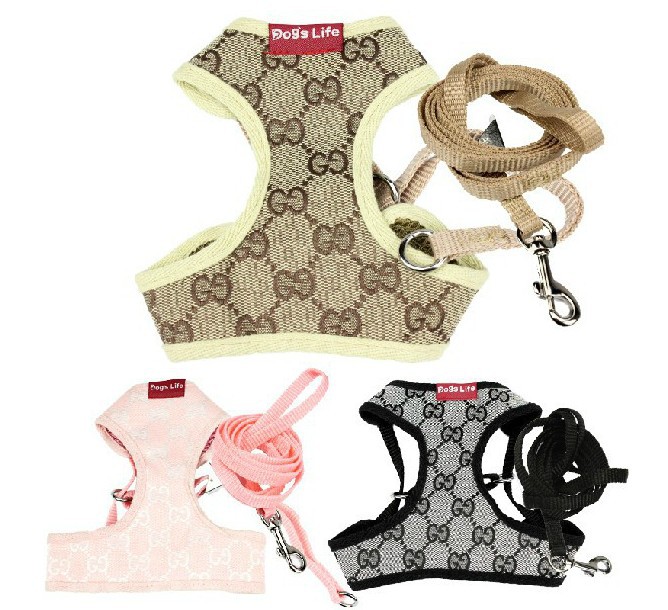 Small Dog Harness and Leash