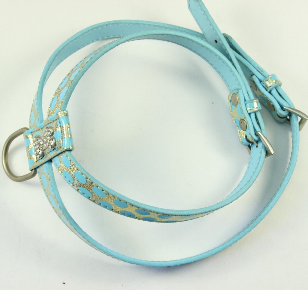 ... thong pet products, factory direct sales dog collar(China (Mainland ... thong pet products, factory direct sales dog collar(China (Mainland