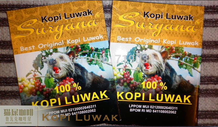 Indonesia imported cat feces SuryanaKopi Luwak civet coffee Robusta coffee 50 grams Manchester