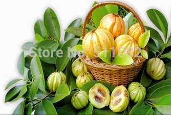 Pure Health Power Trim 4 - Garcinia Cambogia, Green Coffee Bean, Raspberry Ketone &