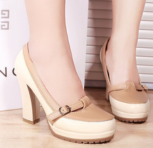 Free shipping 2014 new spring shoes round waterproof Taiwan rough heels OL working women’ s pumps.