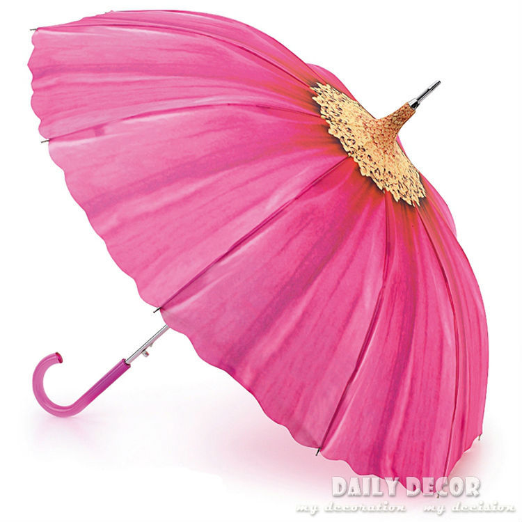        /  /   un paraguas guarda - chuva