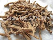 Natural Herbs for sleep herbal tea for Insomnia the most effective drug drugs for cure sleeplessness