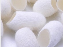 30pcs Hot Face Skin Cleanser Cleaner Message Silkworm Cocoon Women