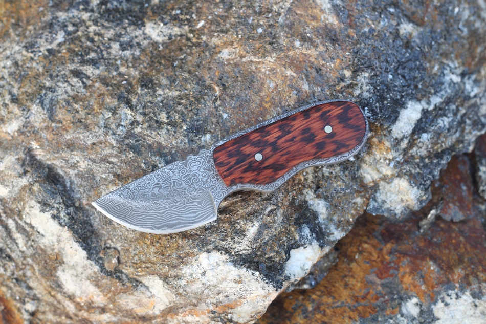 2015 Extremely Rare Handsome Gentleman Damascus Full Tang Fixed Blade Knife Snakeskin Wood Handle High Quality