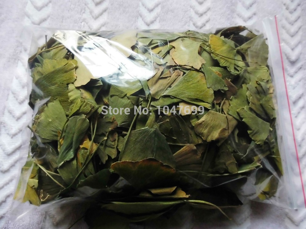 Free shipping Chinese ginkgo biloba green tea to drink with hot boiled eight minutes later food