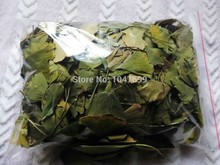 Free shipping, Chinese ginkgo biloba, green tea, to drink with hot boiled eight minutes later! food