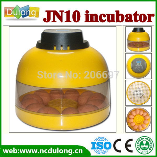 10 eggs mini egg incubator for sale