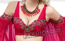 Free shipping Embroidery beauty back sexy gather the bra Come gather underwear vice milk