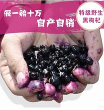 Wild Black Goji Berry Health Tea Goji Berries,Chinese Wolfberry Medlar In The Herbal Tea,Anti-Aging OPC, Lycium ruthenicum 10 g