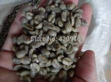  1lb bag 100 16 catimu yunnan 2015 coffee green bean news crop nut smooth 