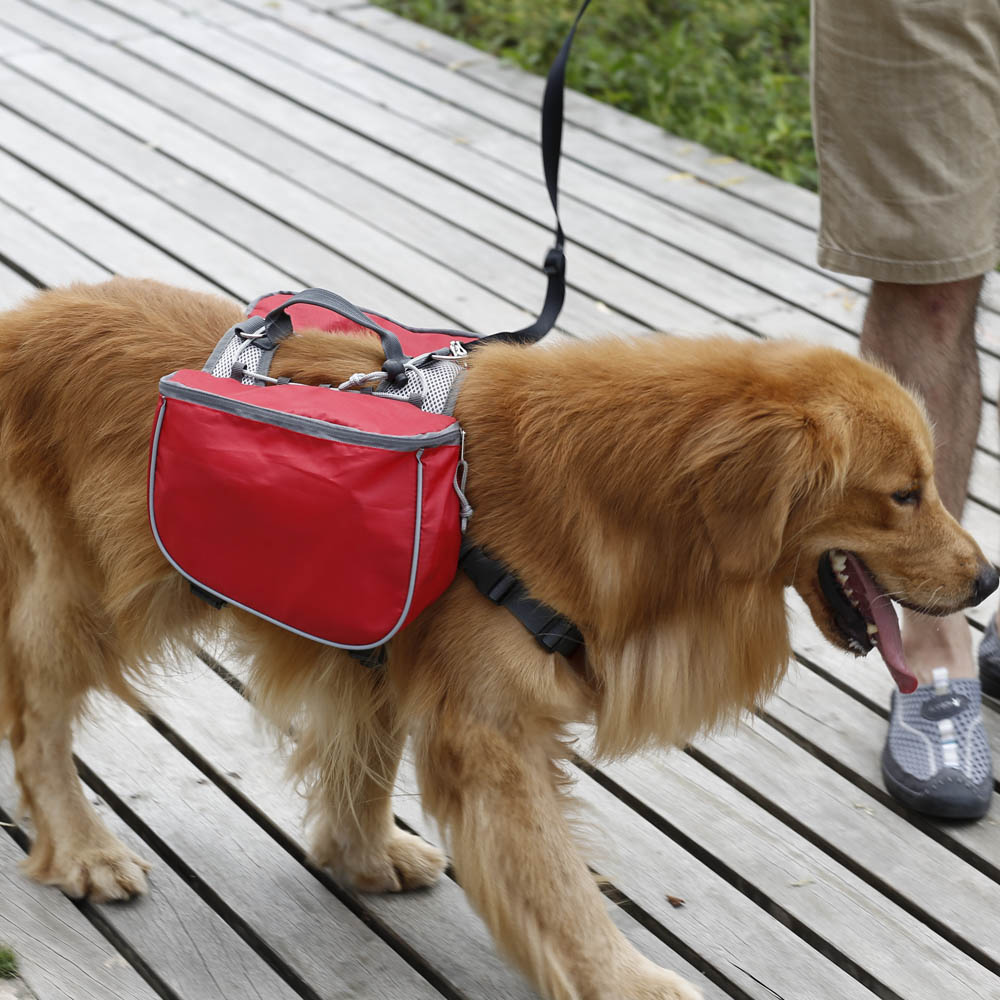 dog water backpack