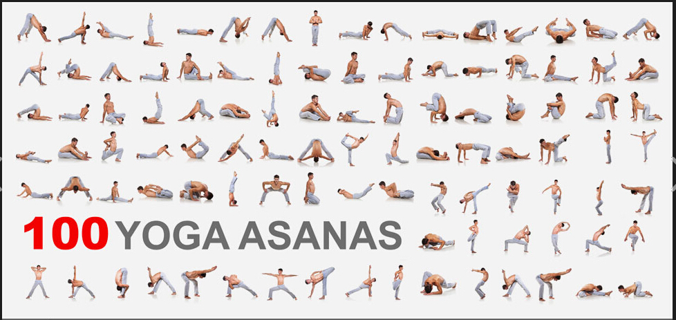 Price Asana  Yoga   Online with name asana on  Yoga Low Asana Shopping/Buy Compare Prices yoga