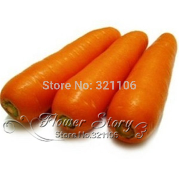 200 seeds Five Inches Carrot seed good taste yard or potted fruit vegetable seeds for home
