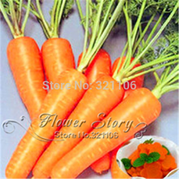 200 seeds Five Inches Carrot seed good taste yard or potted fruit vegetable seeds for home